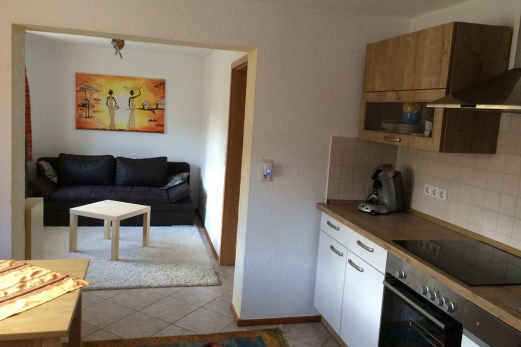 Urlaub Mit Blick Auf Schiltachs Fachwerkhaeuser エクステリア 写真