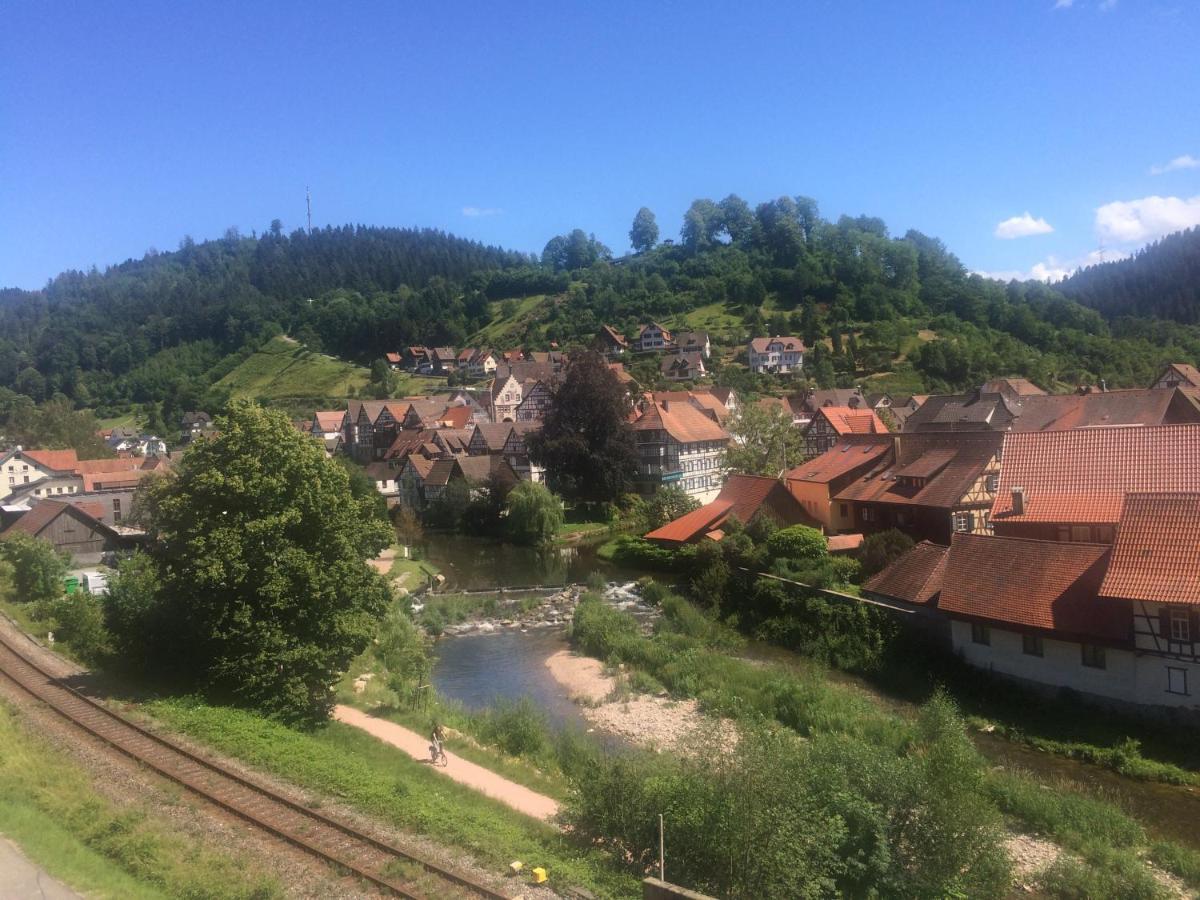 Urlaub Mit Blick Auf Schiltachs Fachwerkhaeuser エクステリア 写真